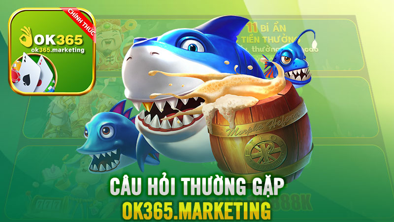 Câu hỏi thường gặp khi tham gia trò chơi Bắn cá Royal Ok365.